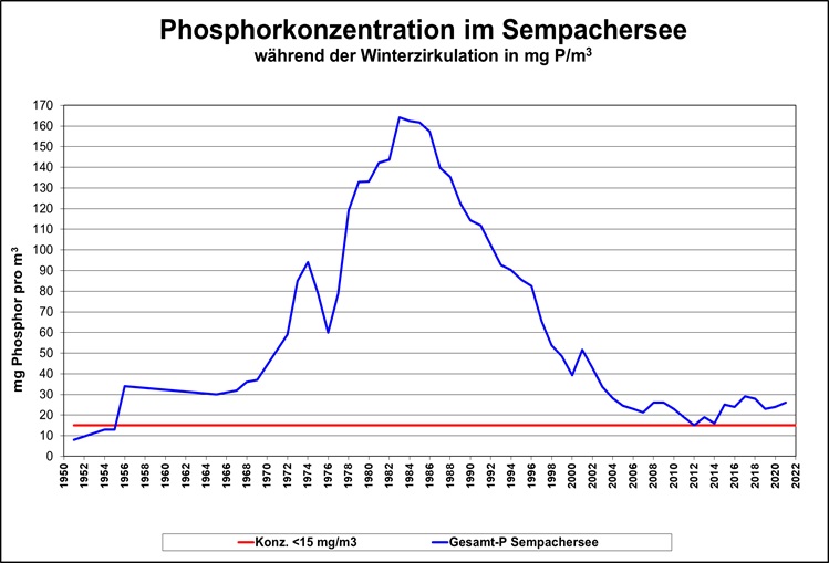 Phosphorkonzentration